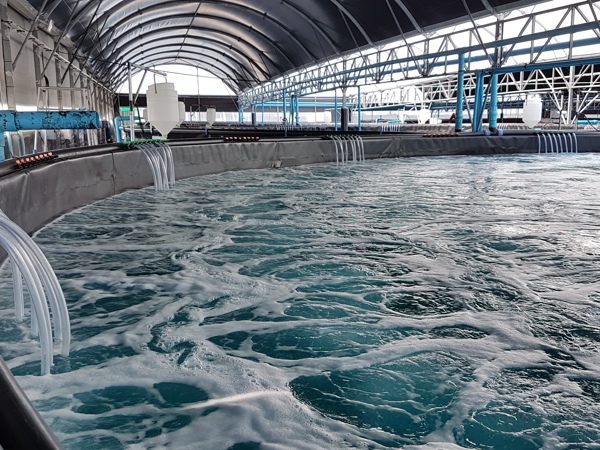 Aquaculture Tanks Vge Pro Site